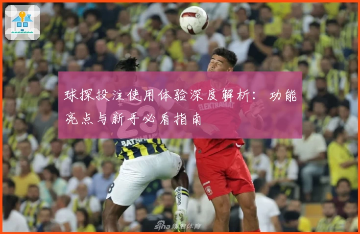 球探投注使用体验深度解析：功能亮点与新手必看指南